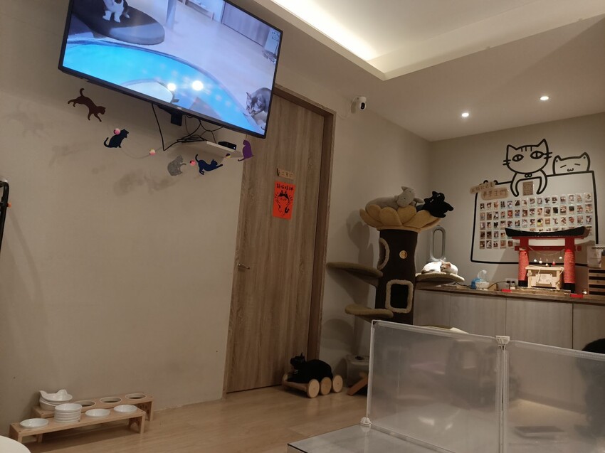 板橋新埔站【貓欸Camulet】主題餐廳推薦-貓迷們請尖叫X