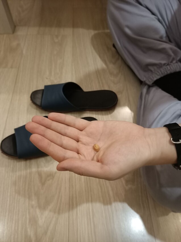 板橋新埔站【貓欸Camulet】主題餐廳推薦-貓迷們請尖叫X