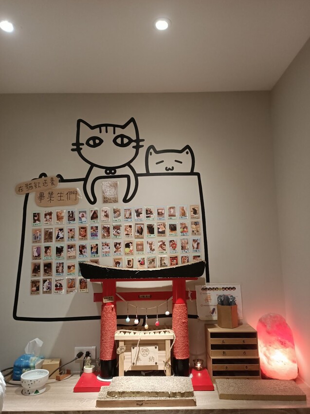 板橋新埔站【貓欸Camulet】主題餐廳推薦-貓迷們請尖叫X