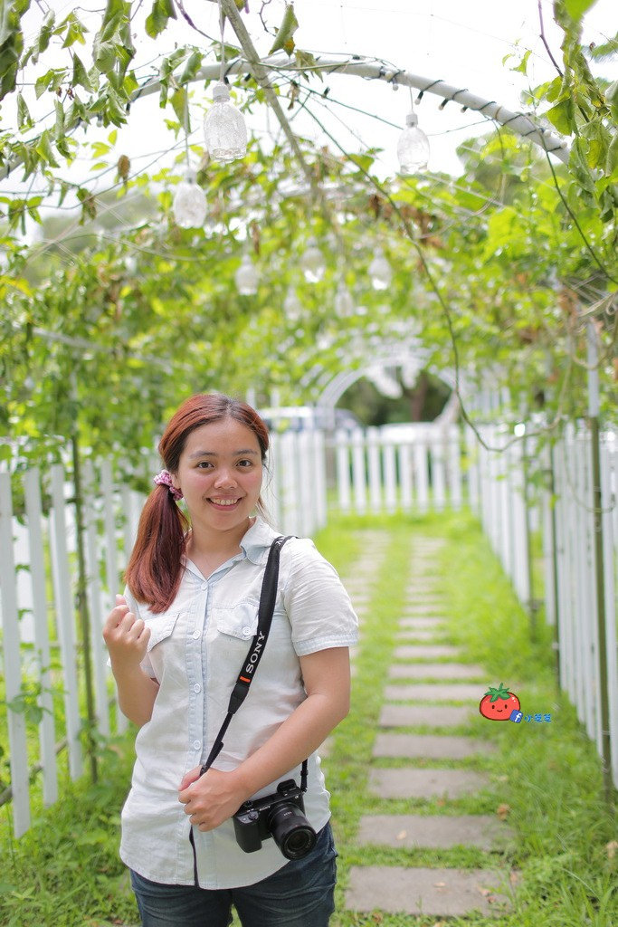 宜蘭彩色天空步道 宜蘭景點推薦 兔子迷宮