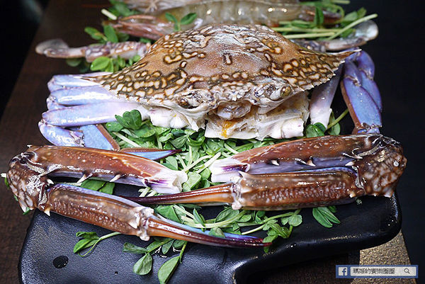 桃園麻辣鍋【麻辣一哥養生麻辣鍋桃園中山店】正宗四川麻辣鍋火辣上癮〡桃園火鍋〡桃園地方法院麻辣鍋〡桃園美食