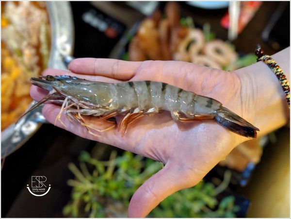 麻辣一哥_190818_0054.jpg 麻辣一哥_190818_0054.jpg