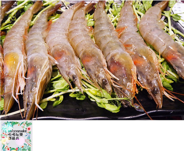 （FoOd桃園)♥【麻辣一哥養生火鍋】夏天更要吃火鍋，正宗麻辣火鍋，重慶老闆娘開店，嗜麻辣者必吃