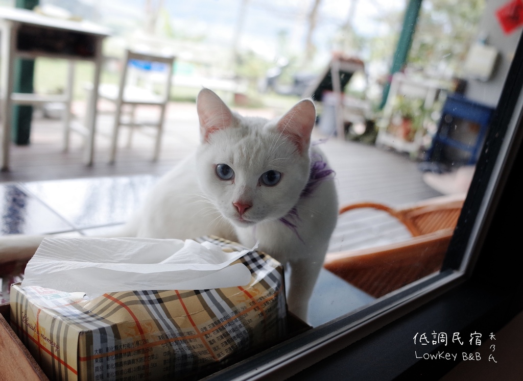 18-03-19-21-40-57-887_deco