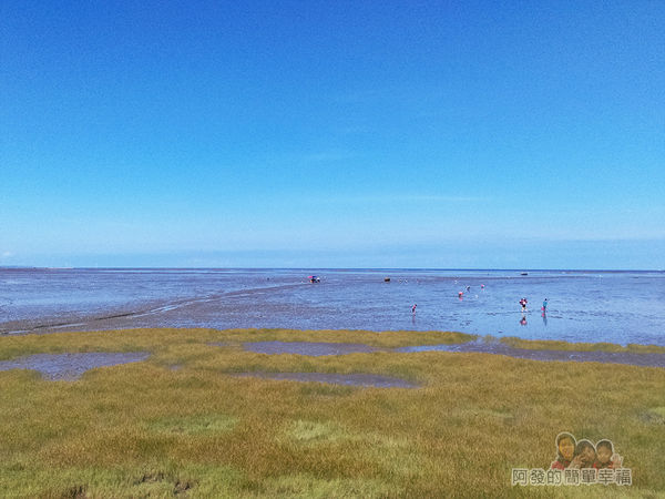 新竹市香山-風情海岸04-香山濕地