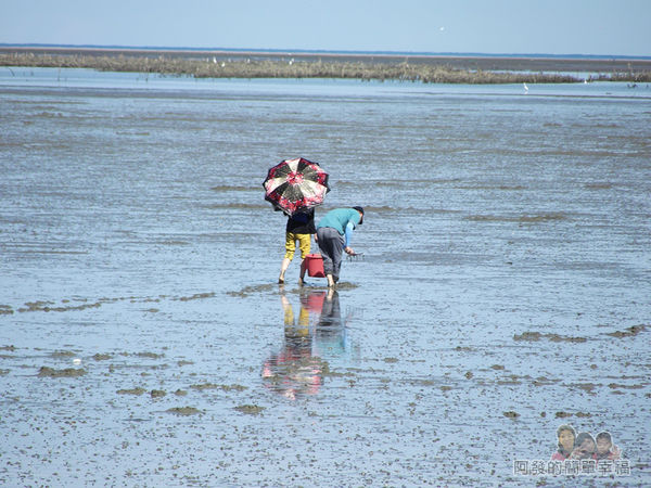 新竹市香山-風情海岸05-香山濕地上挖蛤蜊的人們