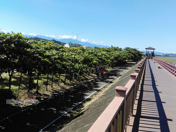 新竹市香山-風情海岸09-坡堤下為新竹17公里海岸線自行車道
