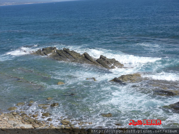 IMG_3955.JPG IMG_3955.JPG