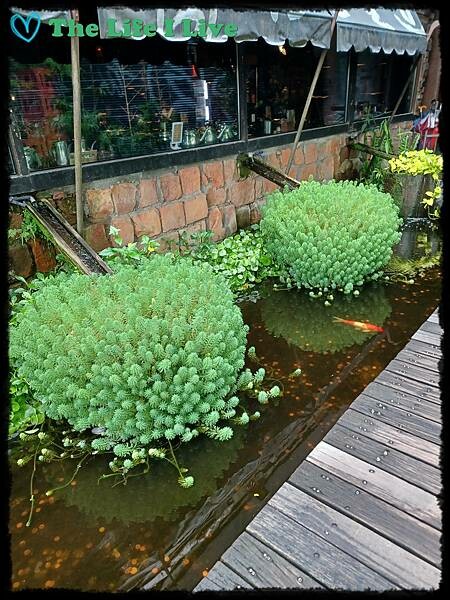 逐鹿燒肉 059.jpg