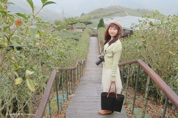 嘉義逐鹿炭火燒肉吃到飽｜嘉義高CP值燒肉無限吃到飽餐廳，火烤兩吃，牛肉.豬肉.羊肉都新鮮