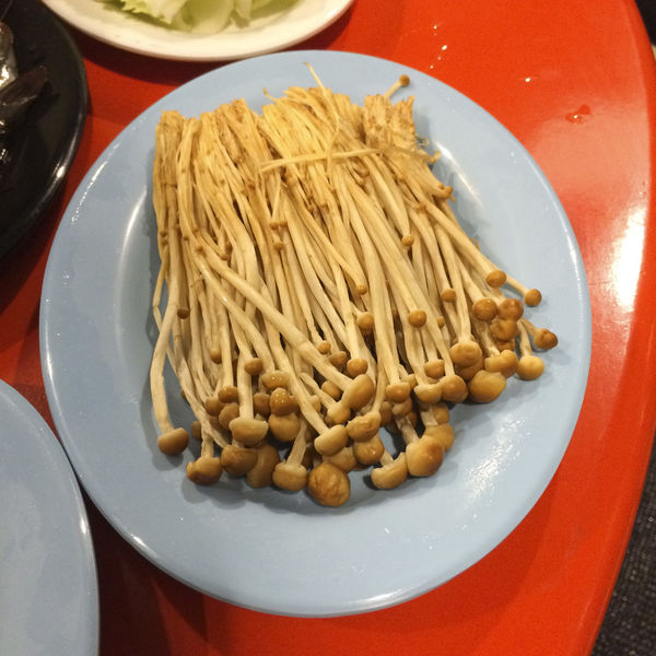 IMG_0329_1.jpg IMG_0329_1.jpg