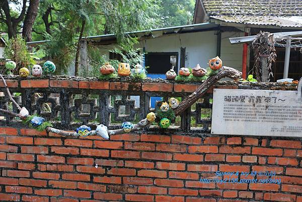 IMG_0243.JPG IMG_0243.JPG