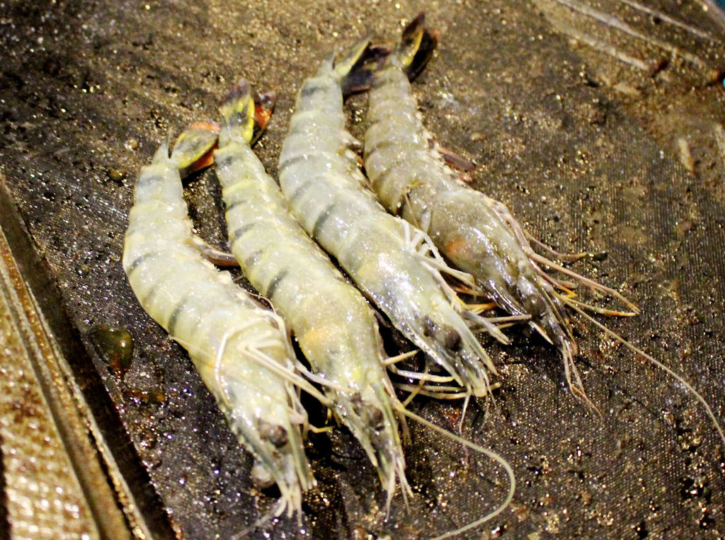 皇上吉饗極品唐風燒肉/東區燒烤吃到飽