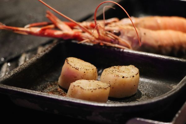 DF1926D8-83B8-4D69-BF1D-CFD71A8E749F.jpg DF1926D8-83B8-4D69-BF1D-CFD71A8E749F.jpg