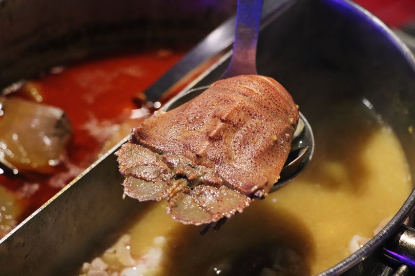 7BD12577-DBF7-48CA-B202-986581ED1DED.jpg 7BD12577-DBF7-48CA-B202-986581ED1DED.jpg