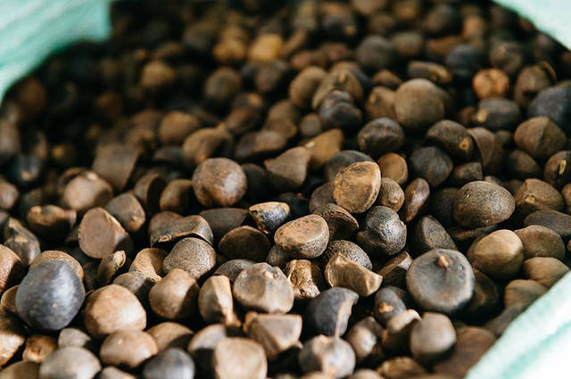 21558744_1899423956987642_7715265929497672845_n