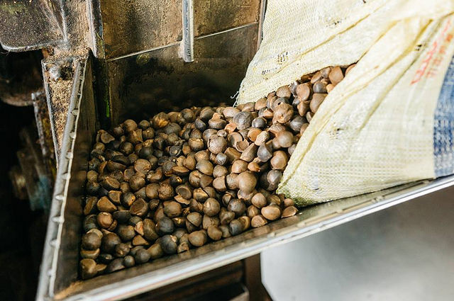 21616152_1900800910183280_3483973878006327618_n