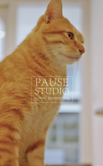 暫停工作室-23
