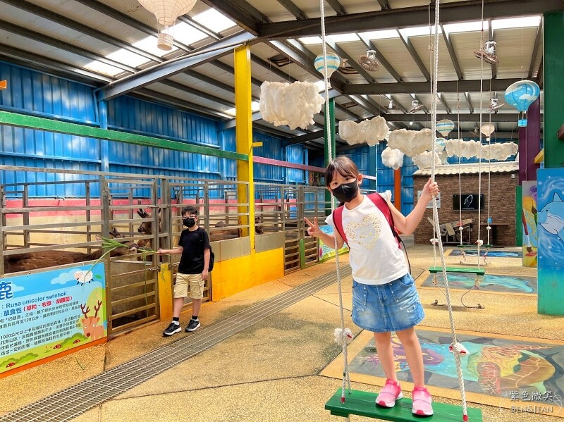 宜蘭礁溪親子餐廳推薦！水鹿咖啡親子館餵水鹿 玩溜滑梯，宜蘭親子旅遊。