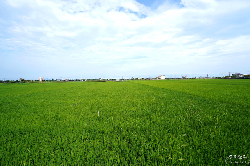 宜蘭礁溪親子餐廳推薦！水鹿咖啡親子館餵水鹿 玩溜滑梯，宜蘭親子旅遊。
