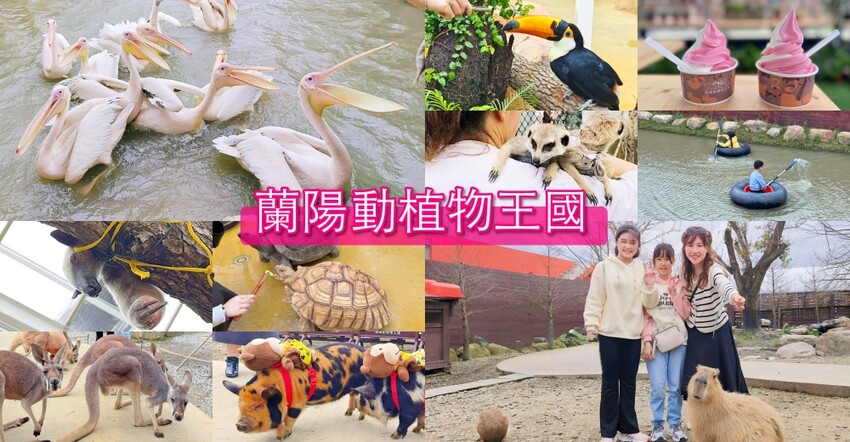 宜蘭礁溪親子餐廳推薦！水鹿咖啡親子館餵水鹿 玩溜滑梯，宜蘭親子旅遊。