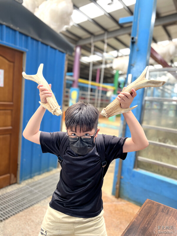 宜蘭礁溪親子餐廳推薦！水鹿咖啡親子館餵水鹿 玩溜滑梯，宜蘭親子旅遊。