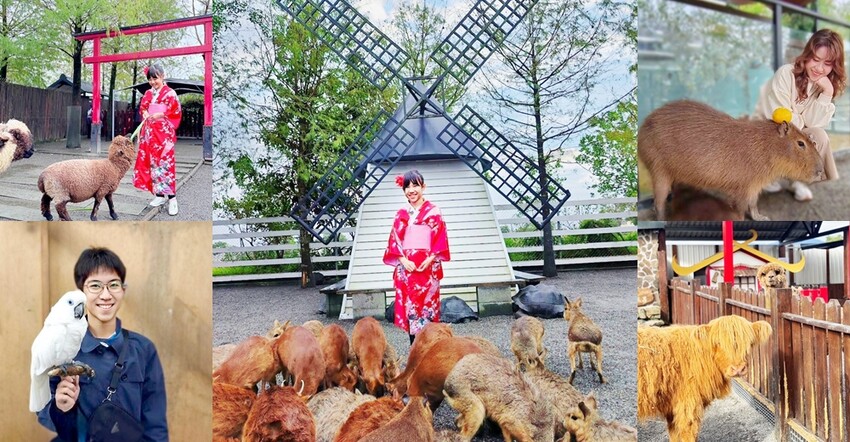 宜蘭礁溪親子餐廳推薦！水鹿咖啡親子館餵水鹿 玩溜滑梯，宜蘭親子旅遊。