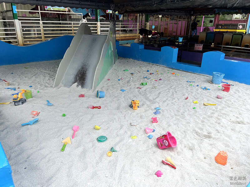 宜蘭礁溪親子餐廳推薦！水鹿咖啡親子館餵水鹿 玩溜滑梯，宜蘭親子旅遊。