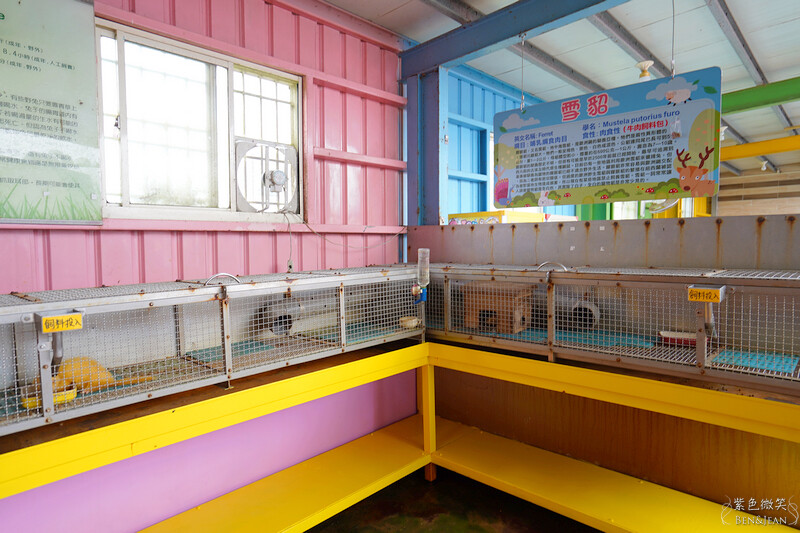 宜蘭礁溪親子餐廳推薦！水鹿咖啡親子館餵水鹿 玩溜滑梯，宜蘭親子旅遊。