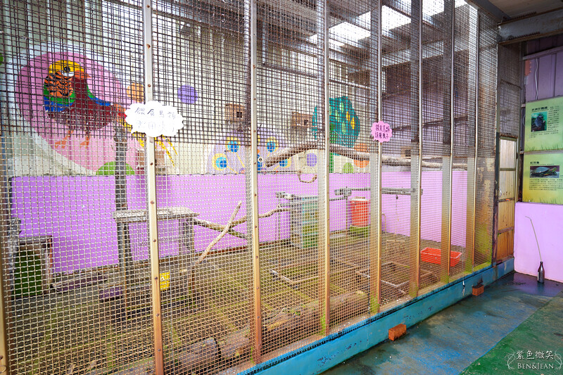 宜蘭礁溪親子餐廳推薦！水鹿咖啡親子館餵水鹿 玩溜滑梯，宜蘭親子旅遊。