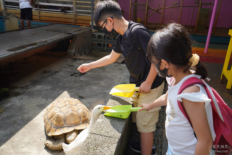 宜蘭礁溪親子餐廳推薦！水鹿咖啡親子館餵水鹿 玩溜滑梯，宜蘭親子旅遊。