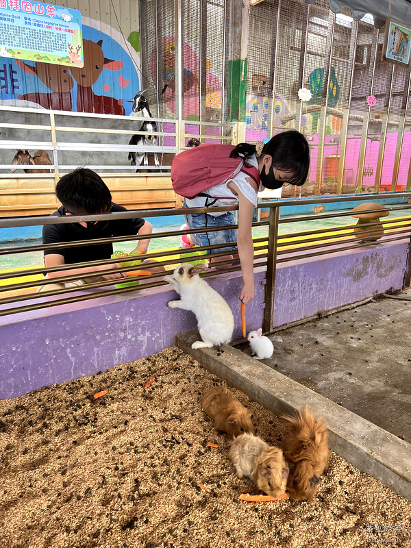 宜蘭礁溪親子餐廳推薦！水鹿咖啡親子館餵水鹿 玩溜滑梯，宜蘭親子旅遊。