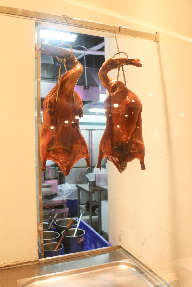 20180302_易鼎活蝦-20