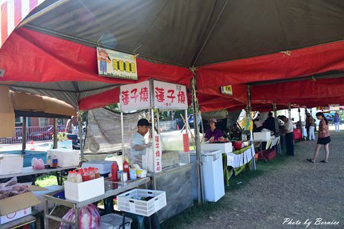 0719 桃園蓮花季02.jpg