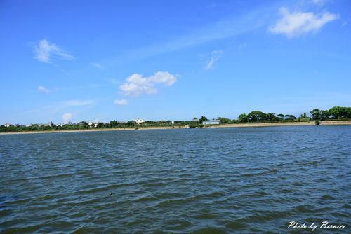 0719 桃園蓮花季26.jpg