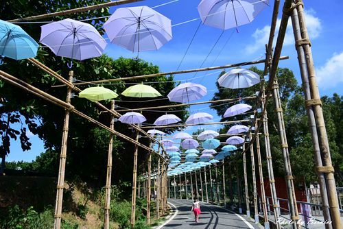 0719 桃園蓮花季25.jpg