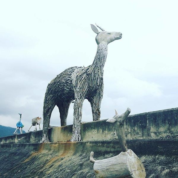 18009052_120300003204521143_761863317_n