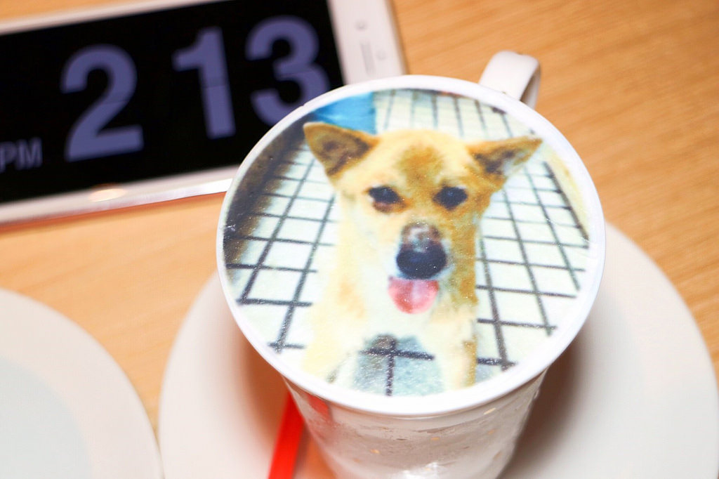 20170722_170722_0115 20170722_170722_0115