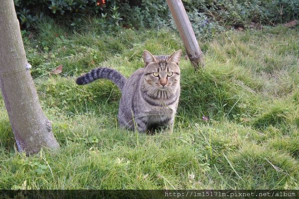 3追分車站 (6).jpg