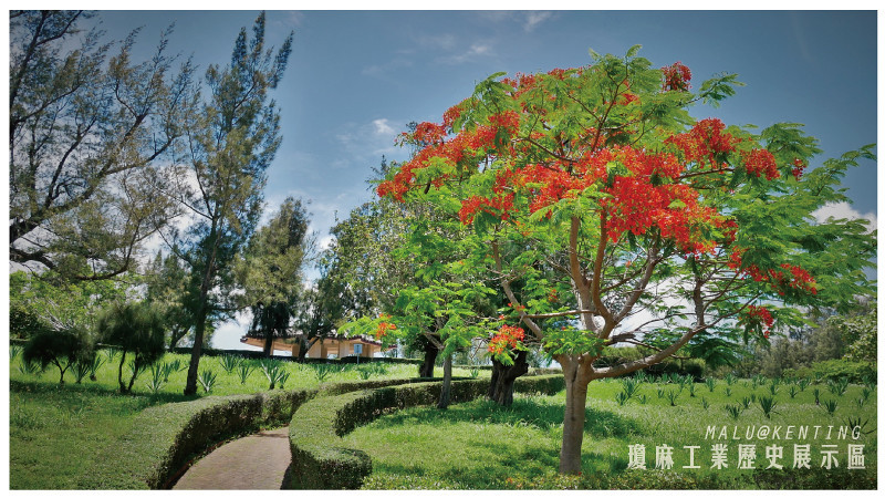 瓊麻工業歷史展示區-4