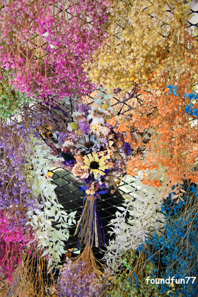 DSC_4704.jpg DSC_4704.jpg