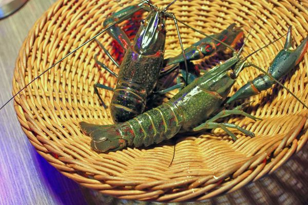 【中和美食】水貨炭火烤魚-一吃停不下手的巨無霸大份量美食！