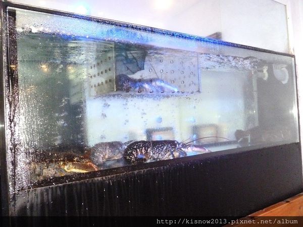 小當家海鮮鍋物(民權分店):23種海鮮選10種,適合火鍋聚餐之地-台北中山區靠近捷運中山國小站小當家海鮮鍋物(民權店)体驗心得 小當家海鮮鍋物(民權分店):23種海鮮選10種,適合火鍋聚餐之地-台北中山區靠近捷運中山國小站小當家海鮮鍋物(民權店)体驗心得