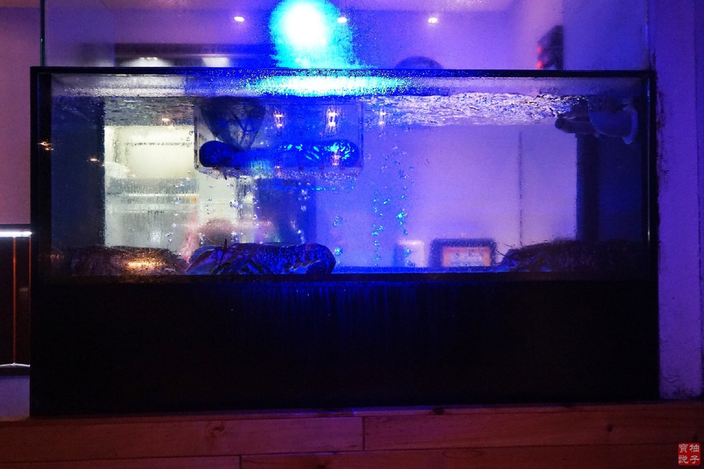 DSC00435.jpg DSC00435.jpg