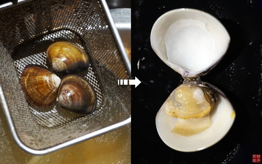 蛤蠣.jpg 蛤蠣.jpg