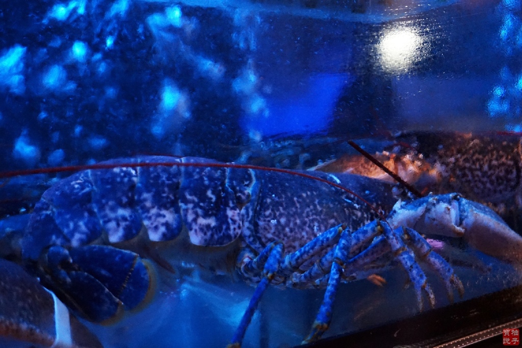 DSC00328.jpg DSC00328.jpg