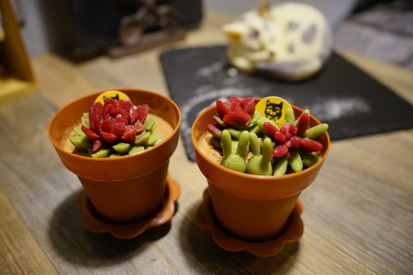 台北｜黑邦廚房 多肉植物可以吃?! 連貓咪也吃下肚，三重超可愛創意甜點！ - 奇奇一起玩樂趣