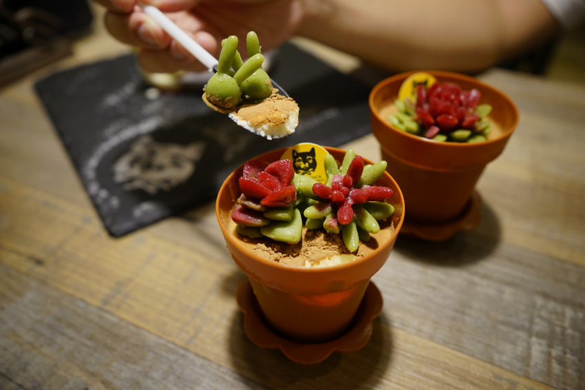 台北｜黑邦廚房 多肉植物可以吃?! 連貓咪也吃下肚，三重超可愛創意甜點！ - 奇奇一起玩樂趣