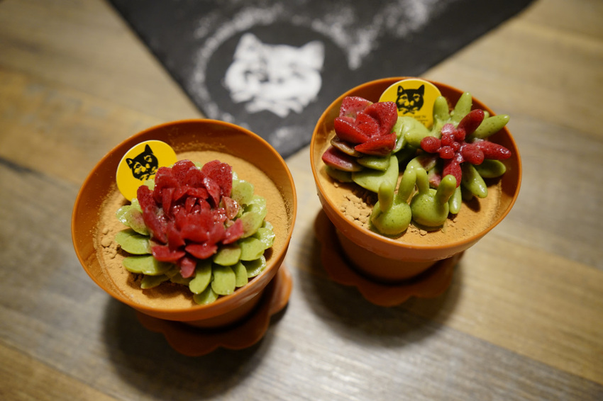 台北｜黑邦廚房 多肉植物可以吃?! 連貓咪也吃下肚，三重超可愛創意甜點！ - 奇奇一起玩樂趣