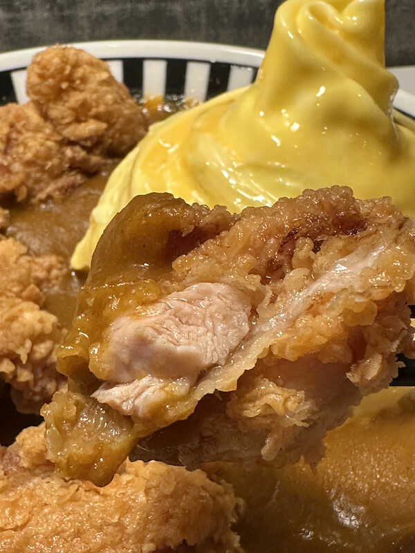 【台灣,台中市,西區】別嗆大叔,一間隱身台中模範市場得美味咖哩飯、唱片行。(台中美食)